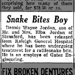 Snake Bites Boy