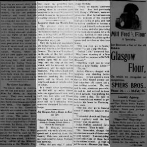 The McFall Weekly Mirror
McFall, Missouri · Friday, July 31, 1903
pg 8  Roy Morgan theft