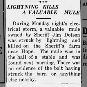 Lightning Kills a Valuable Mule