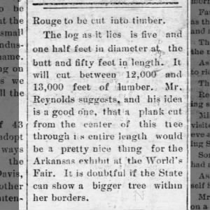 Lone Pine tree Bradley Ferry 16 Apr 1903 SoStd Newspaper page 2