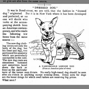"Dressed Dog" - Clothes for dogs in the 1890s
