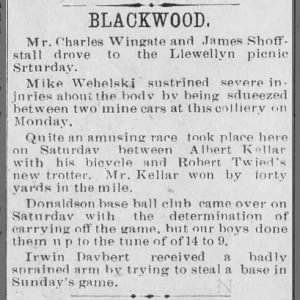 James Schoffstall attends Llewellyn picnic in September 1894.