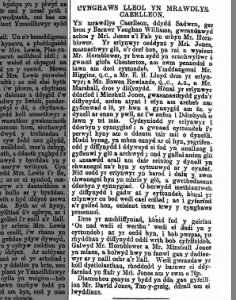 Baner ac Amserau Cymru 18/03/1891