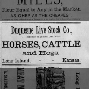 Duquesne Live Stock Company advertisement