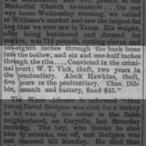 W. T. Vick convicted 26 Nov 1874