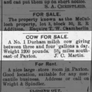 Jesse C Martin selling milk cow SE of Paxton IL 6-24-02