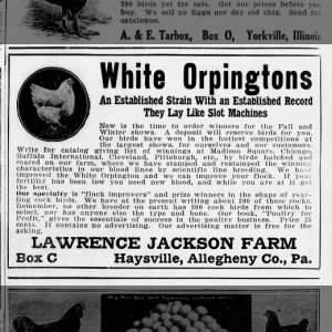 Lawrence Jackson Farm Ad--Poultry Culture (Topeka, KS), 03/01/1912, pg. 32