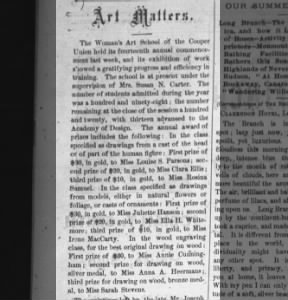 Brooklyn Review Jun 8 1873 p6