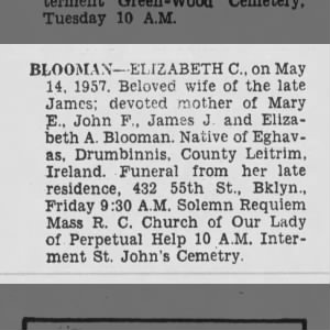 Obituary for ELIZABETH C BLOOMAX