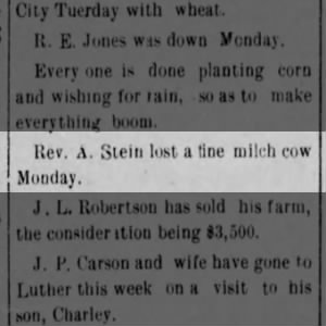 Rev August Stein lost a cow