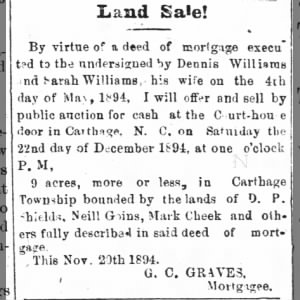 The Carthage Blade
Tue, Nov 20, 1894 ·Page 3
LAND SALE!