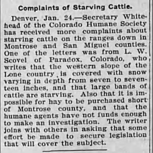 Complaints of Starving Cattle