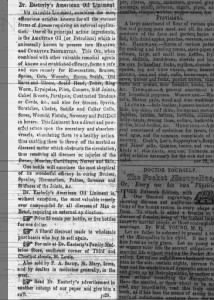 Nebraska Palladium
Bellevue, Nebraska · Wednesday, November 29, 1854