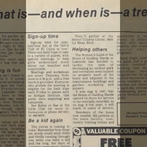 1977 paper
