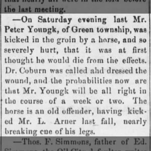 Peter Younk, of Green Twp, was kicked in the groin by a horse, and so severely hurt