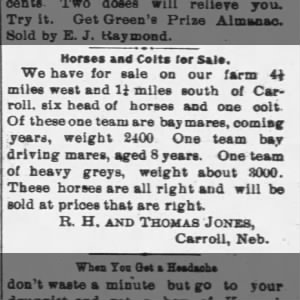 Thomas Jones selling horses