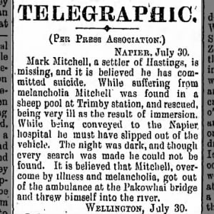 Trimby Station, Wanganui Chronicle, Wanganui, Manawatu-Wanganui, New Zealand, Tue 31 Jul 1894
