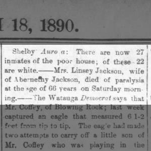 1890Mar18 Death Notice: Mrs Linsey Jackson 66 wife of Abernethy Jackson 