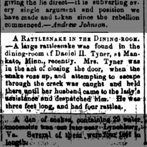 Tyner  The Daily Milwaukee News  6 Sept 1866 pg 4  badger