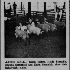 1979 lamb shown by Aaron Mello