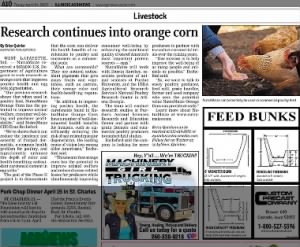 Research Continues into orange corn