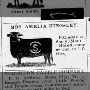 1892-01-16 p8 Cattle Brand for Mrs Amelia Kingsley