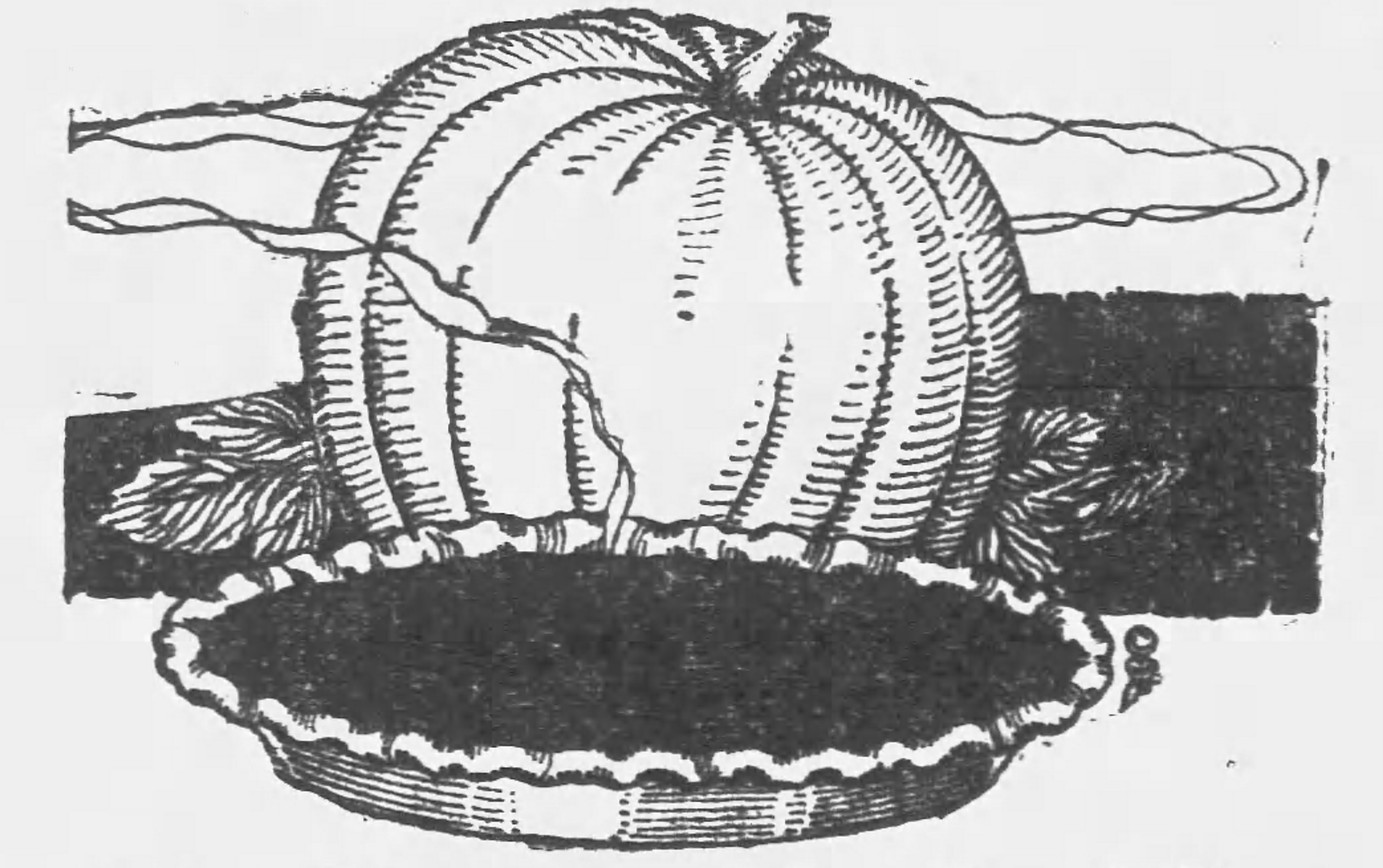 Pumpkin Pie recipe image, 1921(Camden Daily Courier, via Newspapers.com)